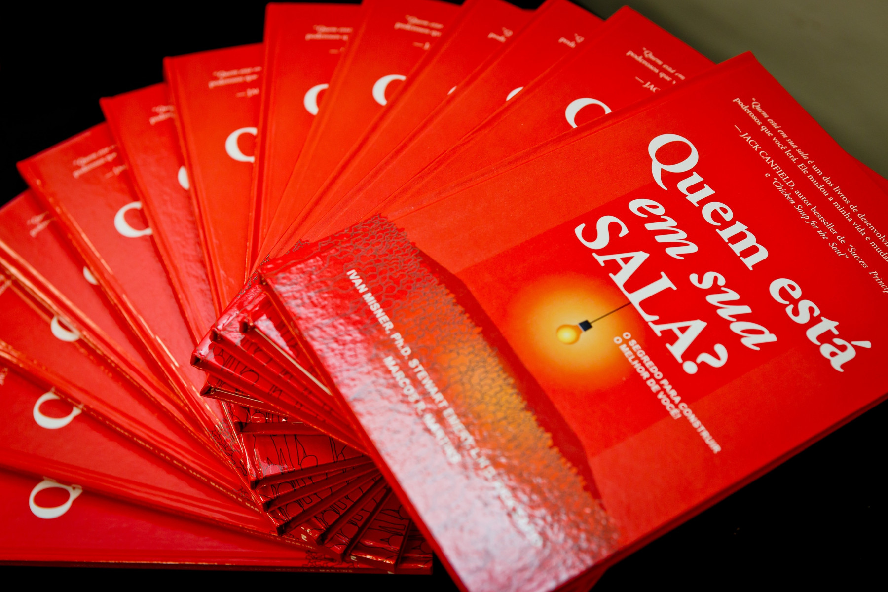 LIVRO – QUEM ESTÁ EM SUA SALA? - Imagem 2